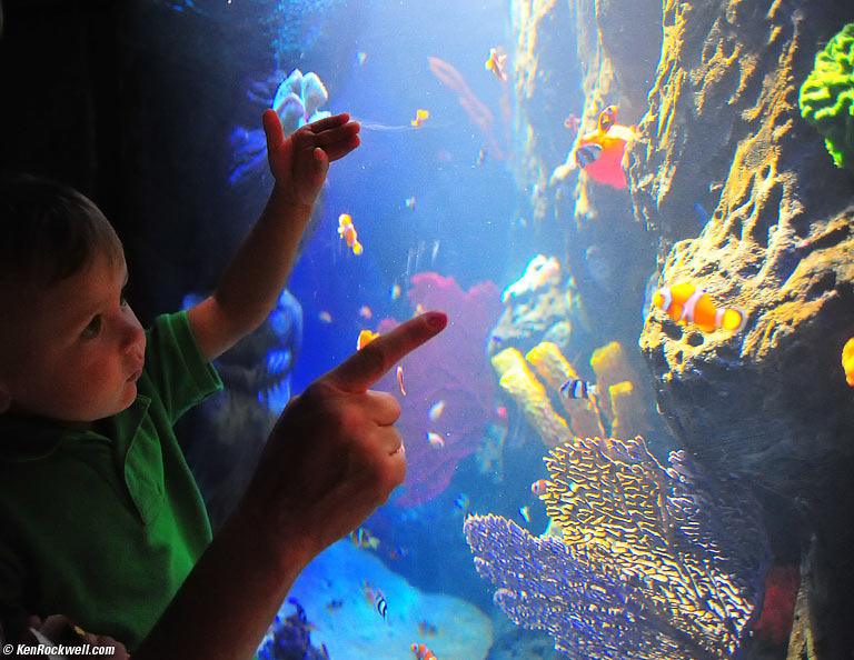 Ryan Sea Life