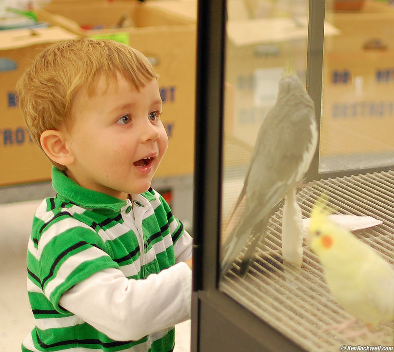 Ryan sees a bird