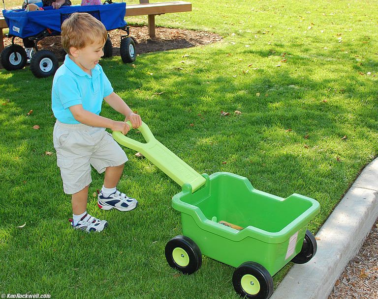 Wheelbarrow