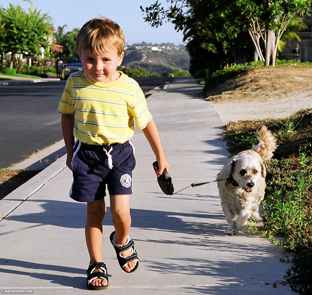 Ryan takes Buster for a walk