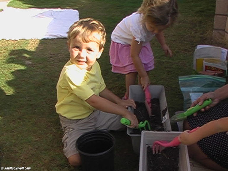 Ryan planting
