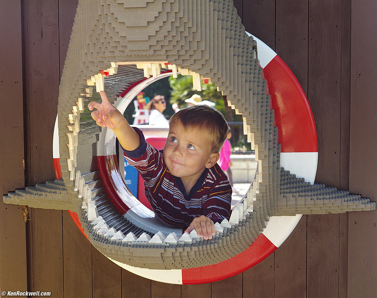 Ryan in the shark