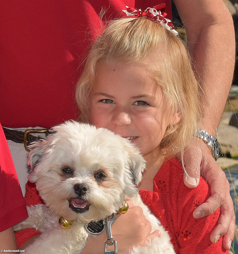 The 2014 Christmas Card, Palm Desert