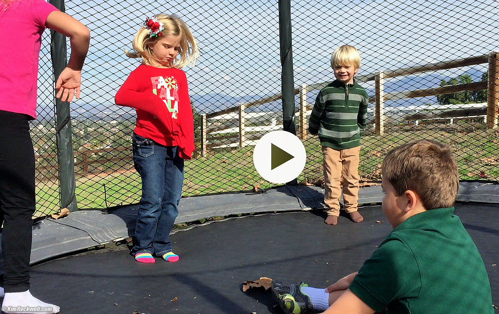 LIVE VIDEO: Everyone on the trampoline! 