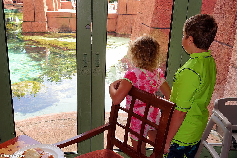 Kids see the fish outside at breakfast