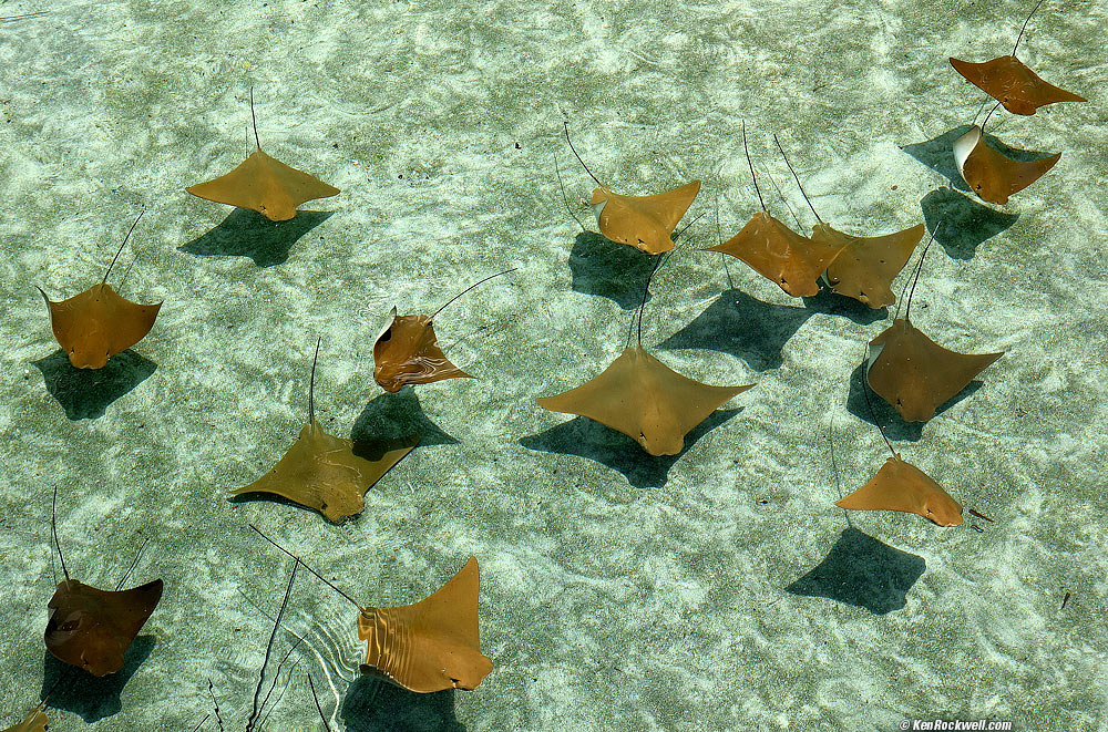Rays in a pool