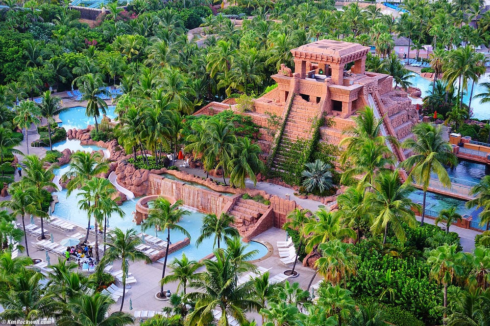 Mayan temple surrounded by palm trees