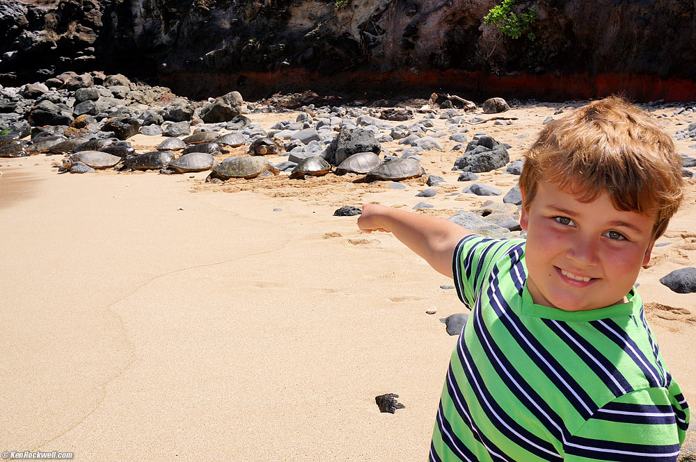 Ryan points to the turtles, Ho'okipa Beach Park, Maui