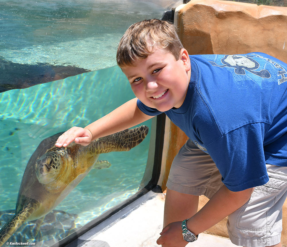 Ryan and a sea turtle at the nature center