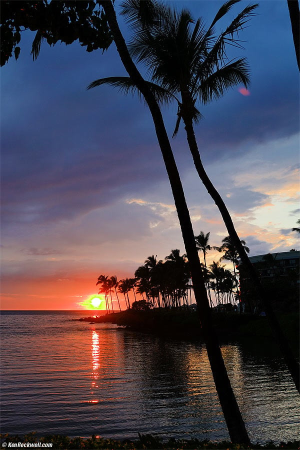 Sunset with Palms 14 June 2016