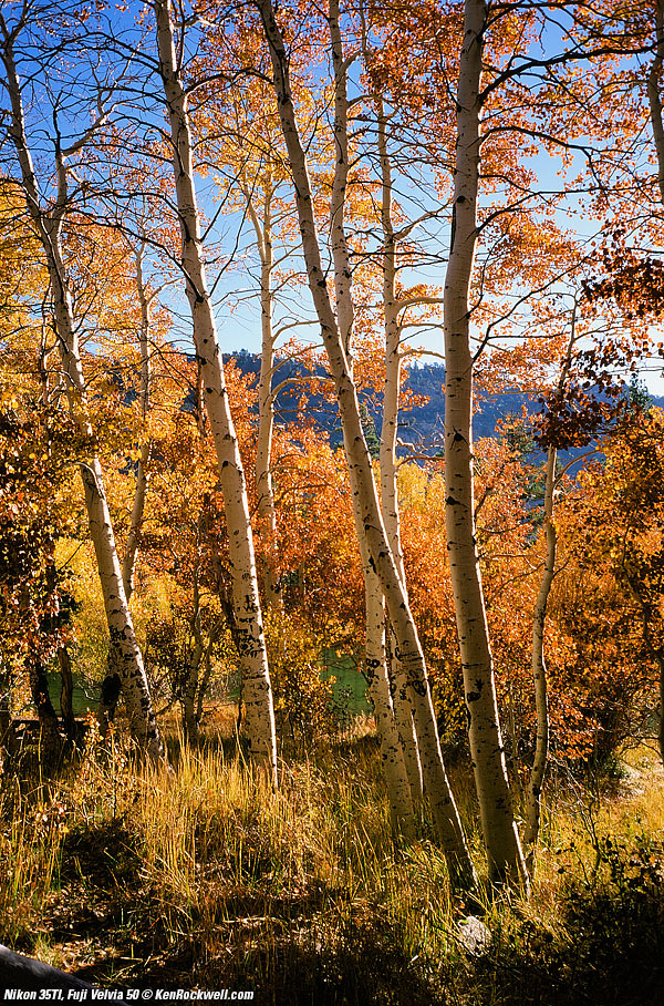 Eastern Sierra, 