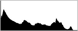 Histogram