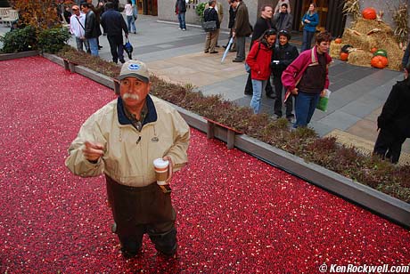 Cranberries