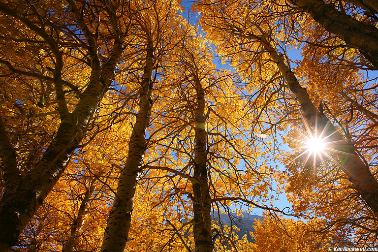 Color, Eastern Sierra, California.