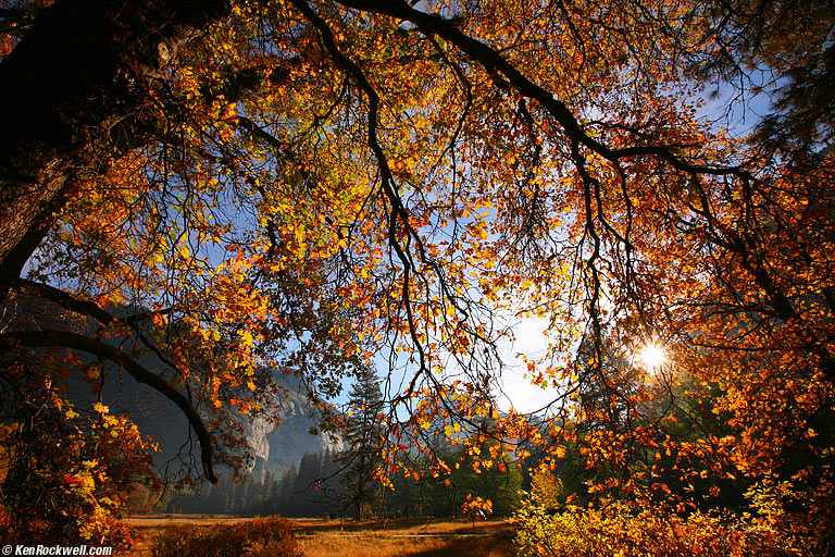 Emporers' Meadow, Yosemite National Park, California.