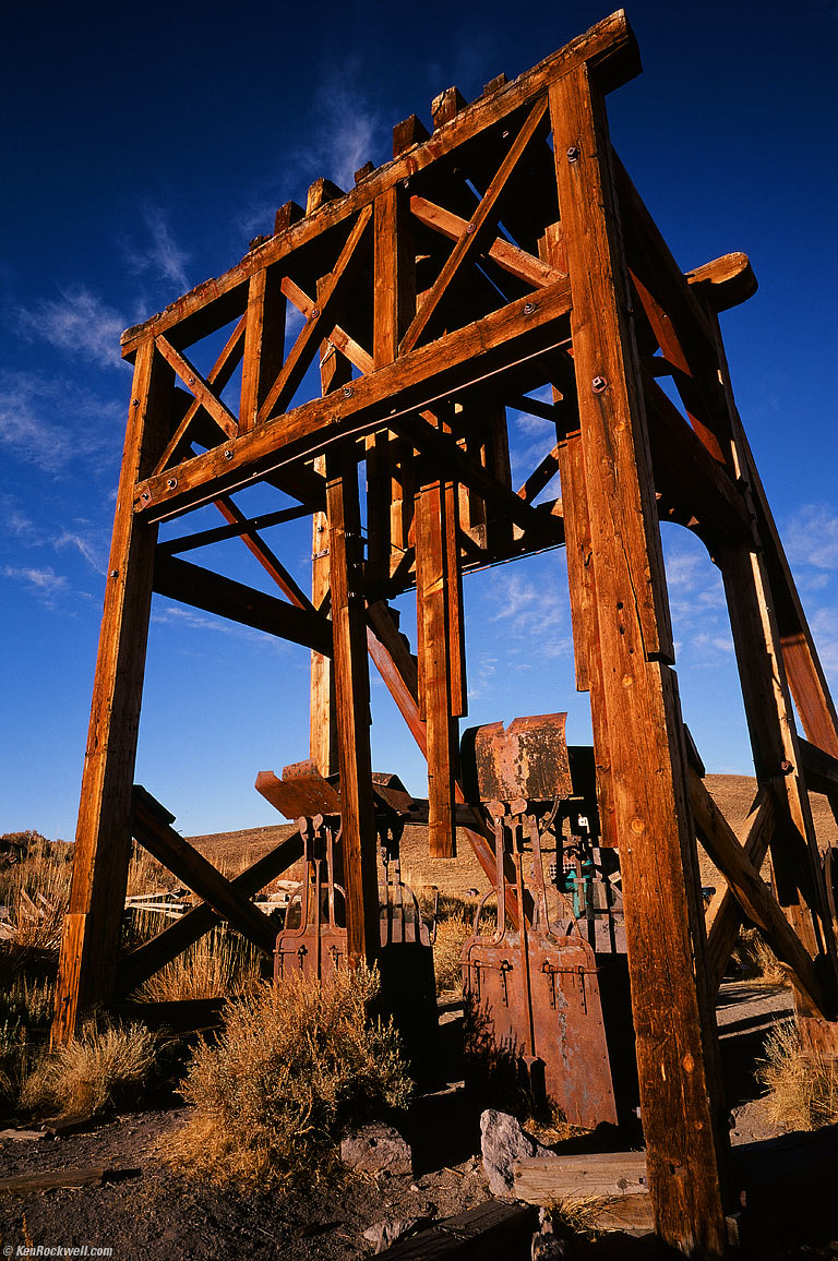 Bodie