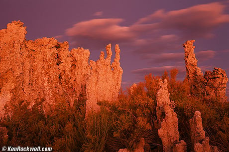 Tufa in Gold