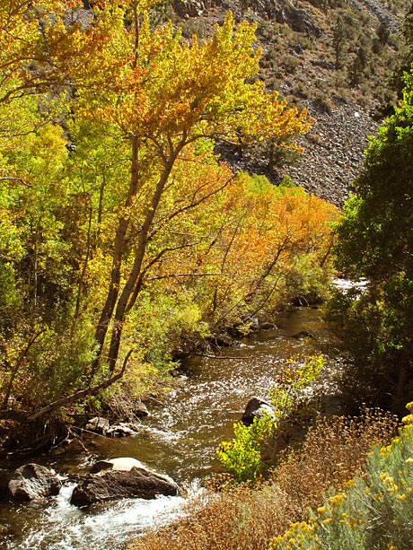 June Lake Loop