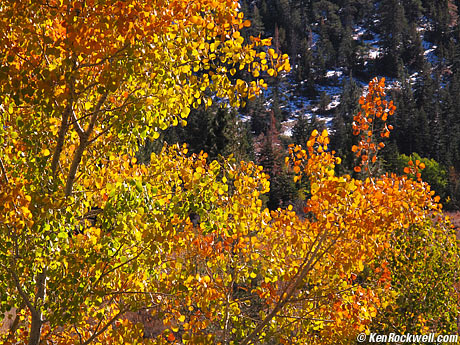 June Lake Loop