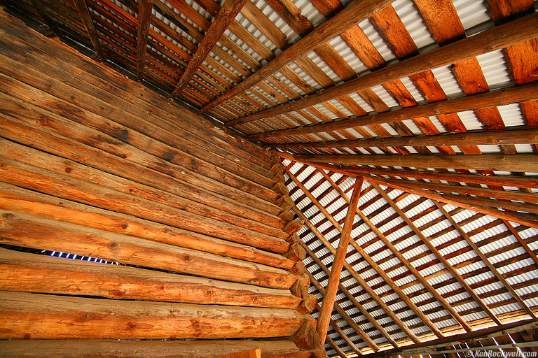 Barn, Foresta
