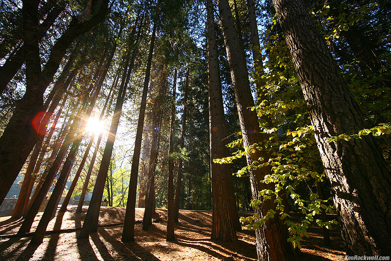 Ahwahnee Woods