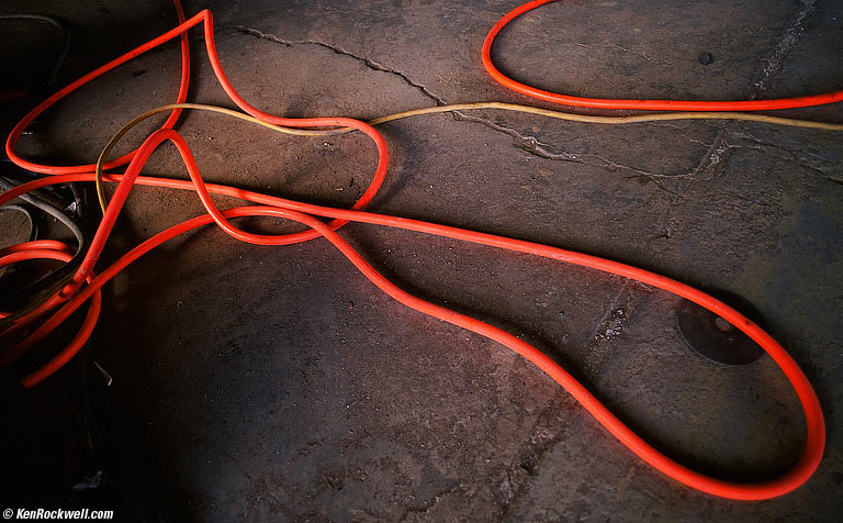 Hose