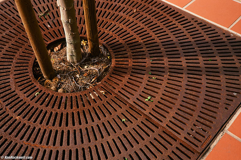 Grate