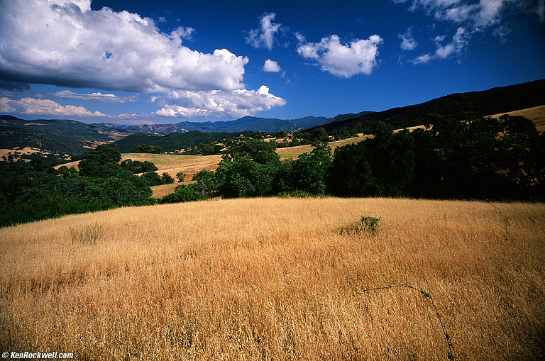 Field