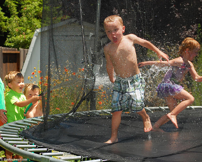 Ryan and Hose, Aunt Lisa's Back Yard, 2:03 PM. video. 