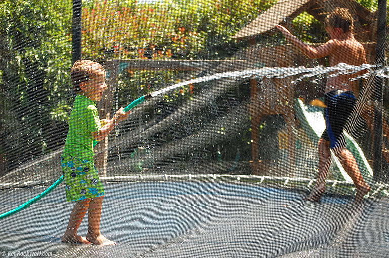 Ryan and Hose, Aunt Lisa's Back Yard, 2:09 PM. video. 