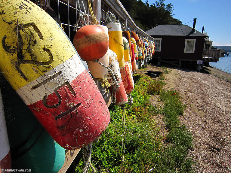 Float Display, Tomales Bay California, 2:13 PM.