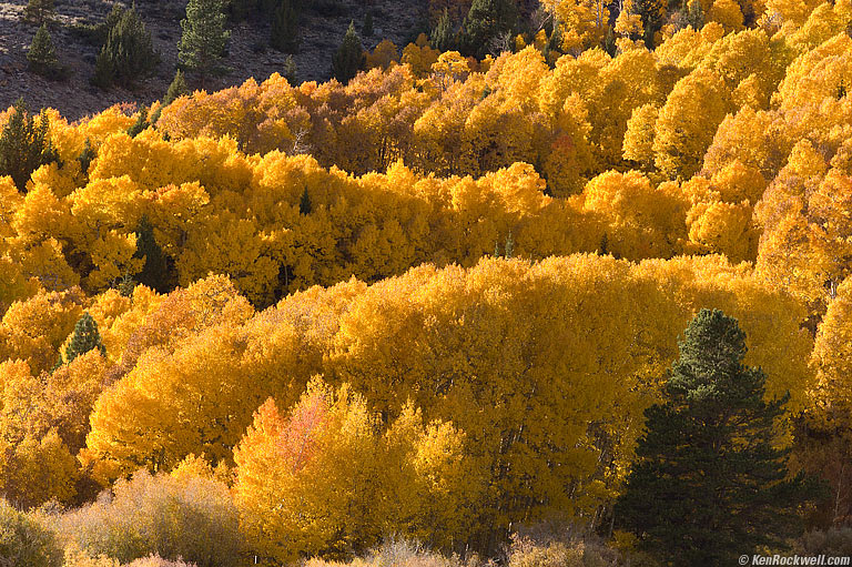 June Lake Loop
