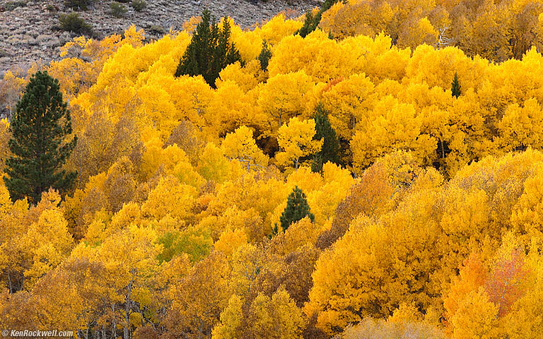 June Lake Loop