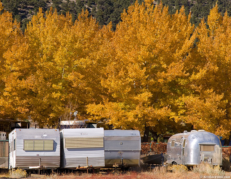 Happy Campers