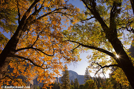 Yosemite National Park