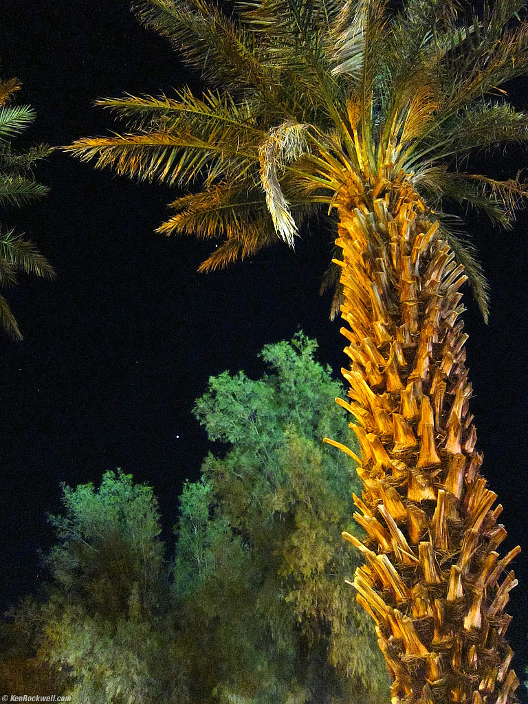Night Palm, Furnace Creek Ranch, Death Valley, 8:17 PM.