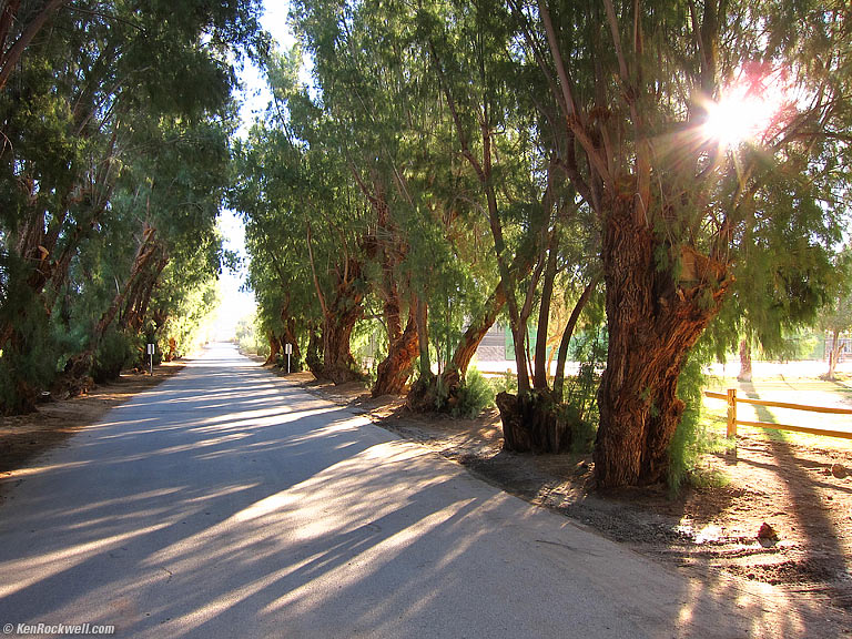Side Road, Furnace Creek Ranch, Death Valley, 8:36 A.M.
