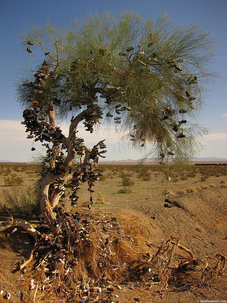 Shoe Tree