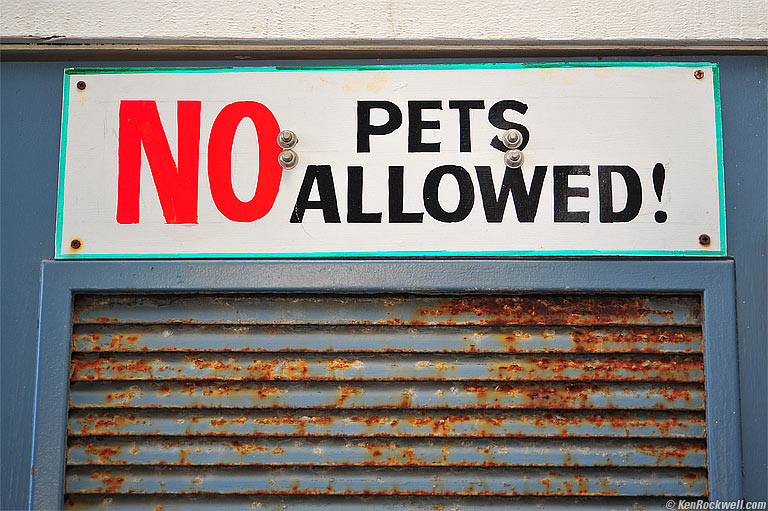 No Pets Allowed, San Simeon, California, 6:03 PM.