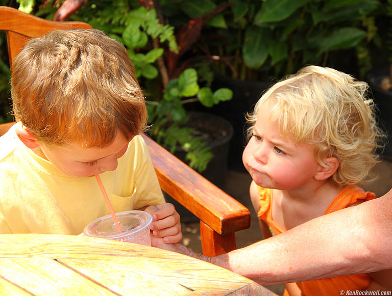 Ryan and Katie both want Noni's fruit smoothie, 2:22 PM. 