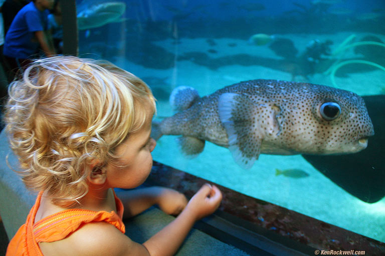 Katie and the puffer fish, 2:58 PM. 