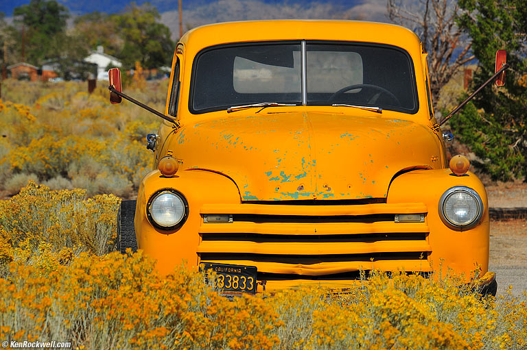 Warm Yellow.