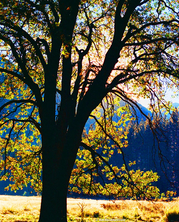 Stoneman Meadow