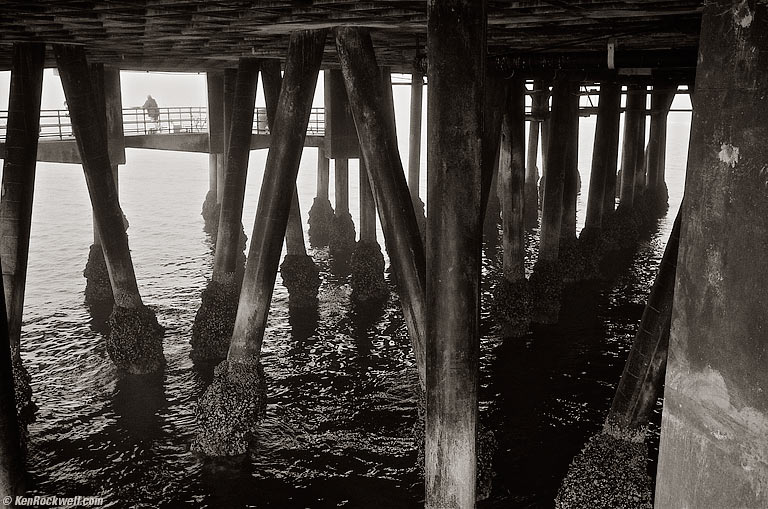 Under the Santa Monica Pier