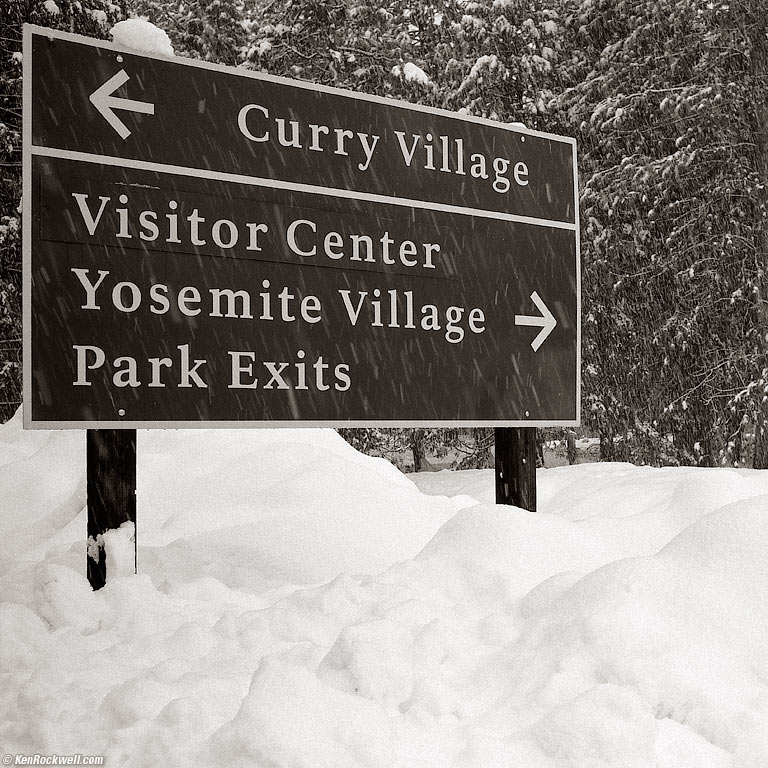 Yosemite Sign in Blowing Wet Snow