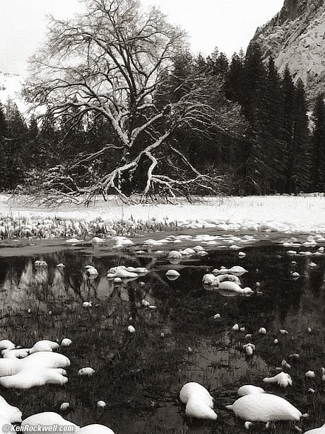 Tree and Snowy Rocks in River, Yosemite