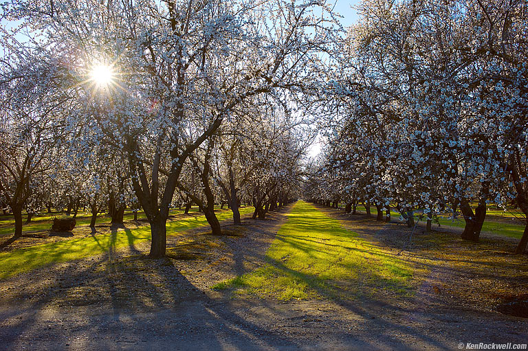 Agriculture