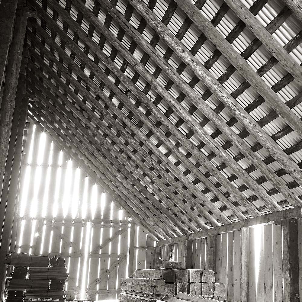 Forresta Barn