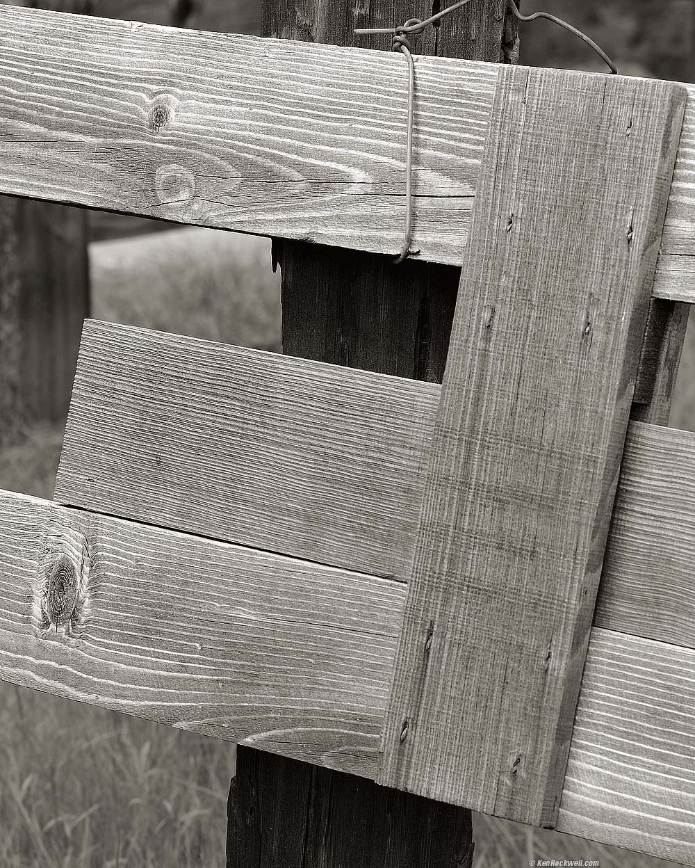 Wood Fence, Forresta