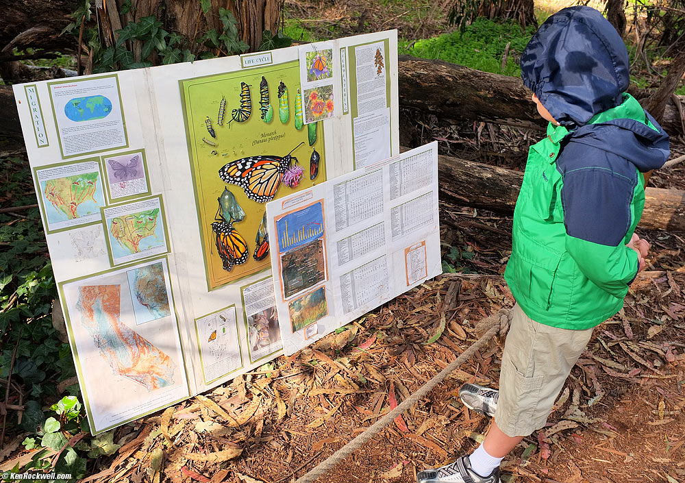 Ryan checks out the informative poster, 10:36 AM.